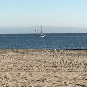 Meet your Posher, Sylvia